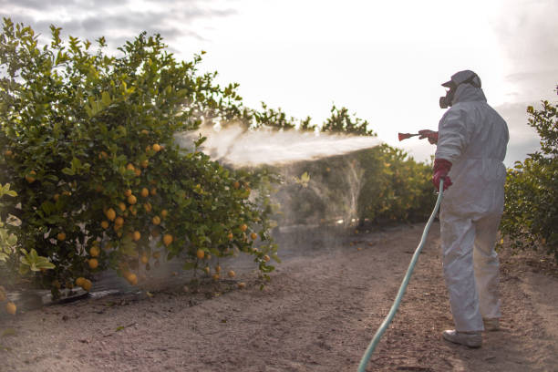 Insect Control in Iola, WI